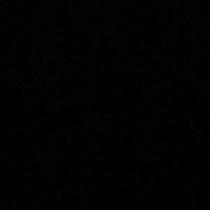 Meet your Posher, Lanny